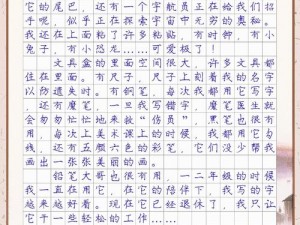 我的同学作文 300 字：推荐的文具