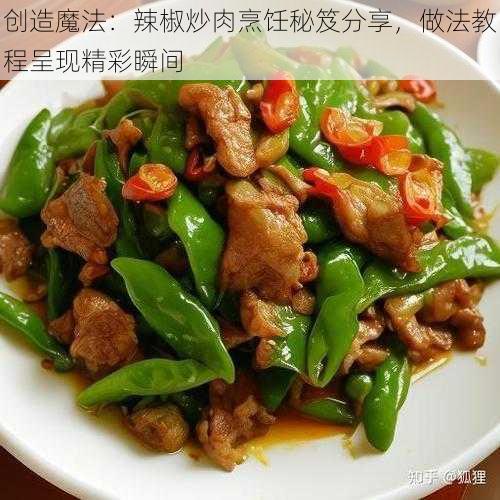 创造魔法：辣椒炒肉烹饪秘笈分享，做法教程呈现精彩瞬间